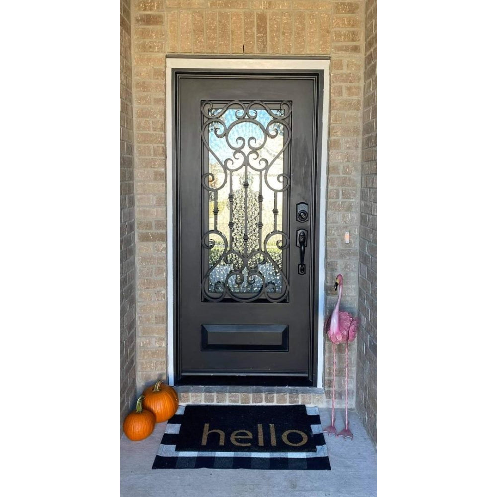Dallas 3 ft. x 6 ft. 8 in. Wrought Iron Prehung Front Door