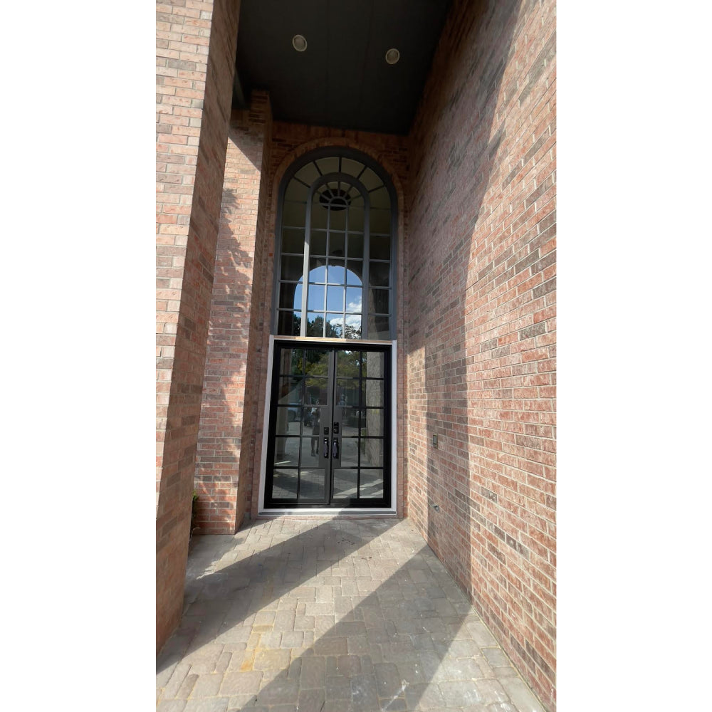 6/0x8/0 10 Lite French Exterior Wrought Iron Prehung Door